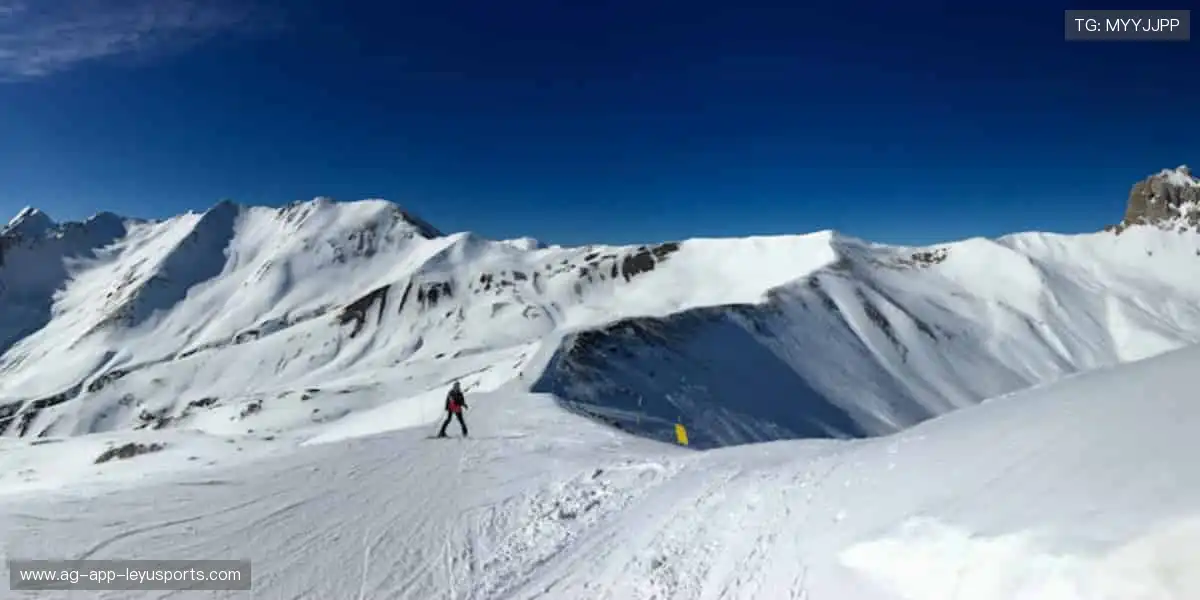 激情赛场，胜者为王！⚽️