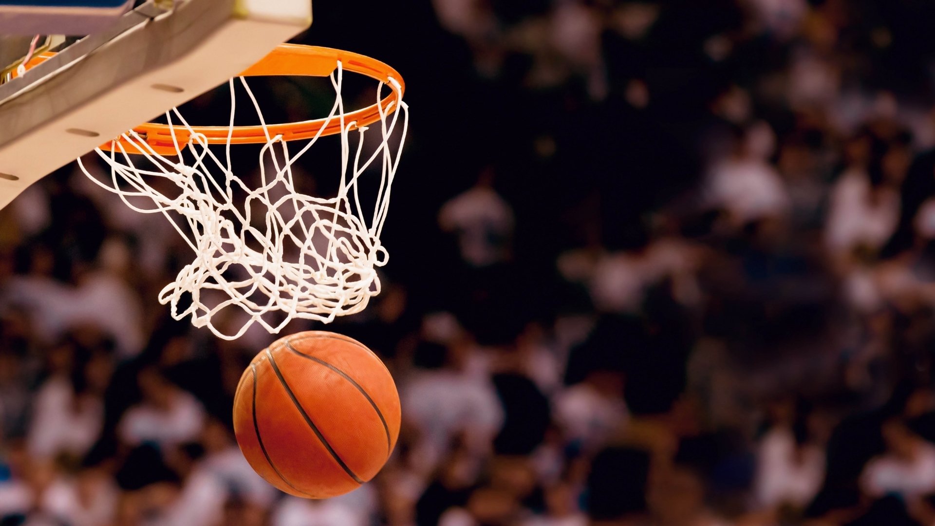 NBA球队双核心体系的配合机制与风险评估，nba的什么球队分属两个联盟
