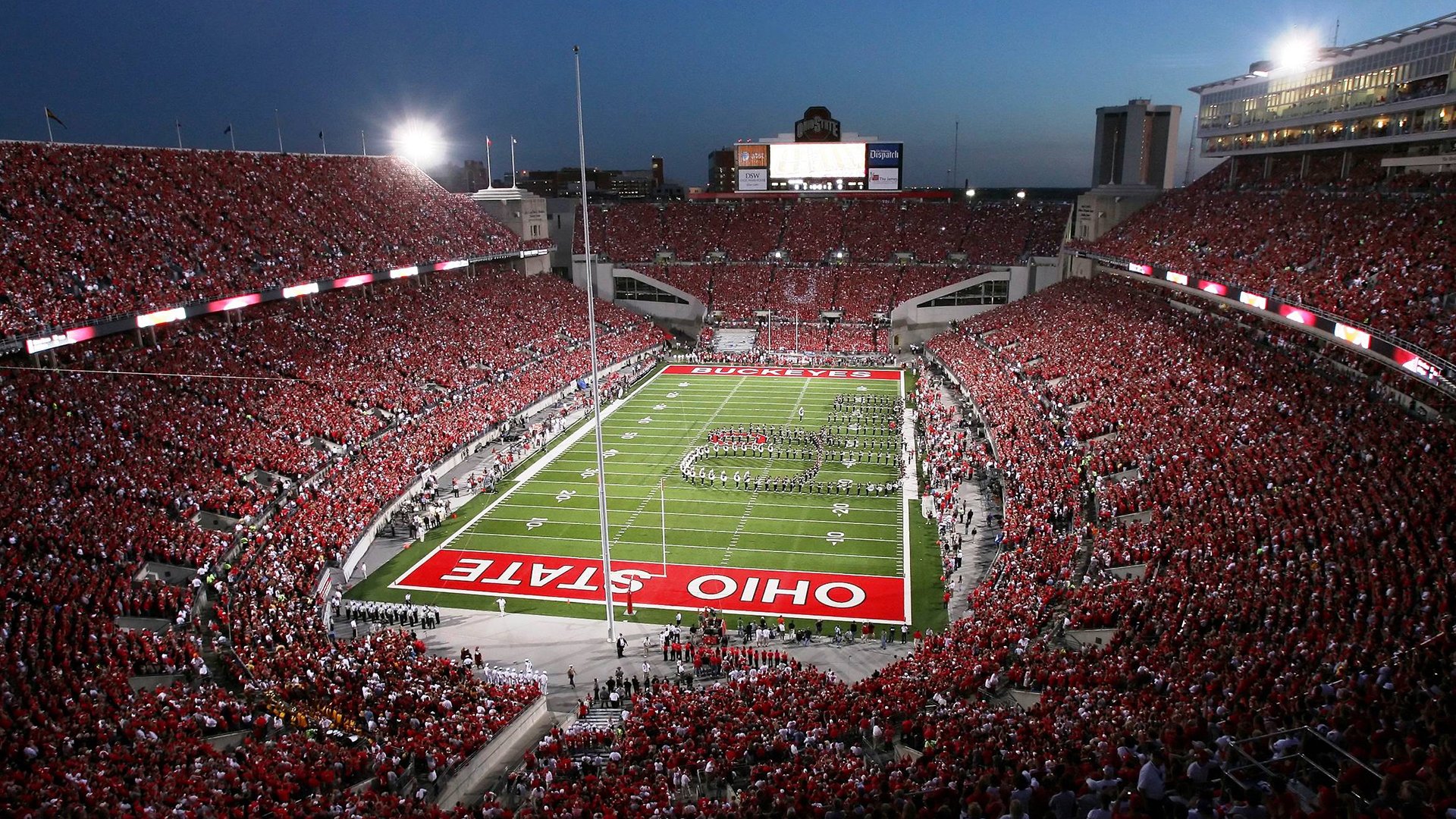 跳水赛场波兰展现高难动作实力,波兰跳水队