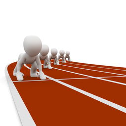 乐鱼体育入口-体育新闻中心记录高水平训练基地建设成果，推动体育事业新发展