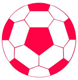 乐鱼官网优惠-国家队青训体系实现区域联动 引导多元发展，青训队伍