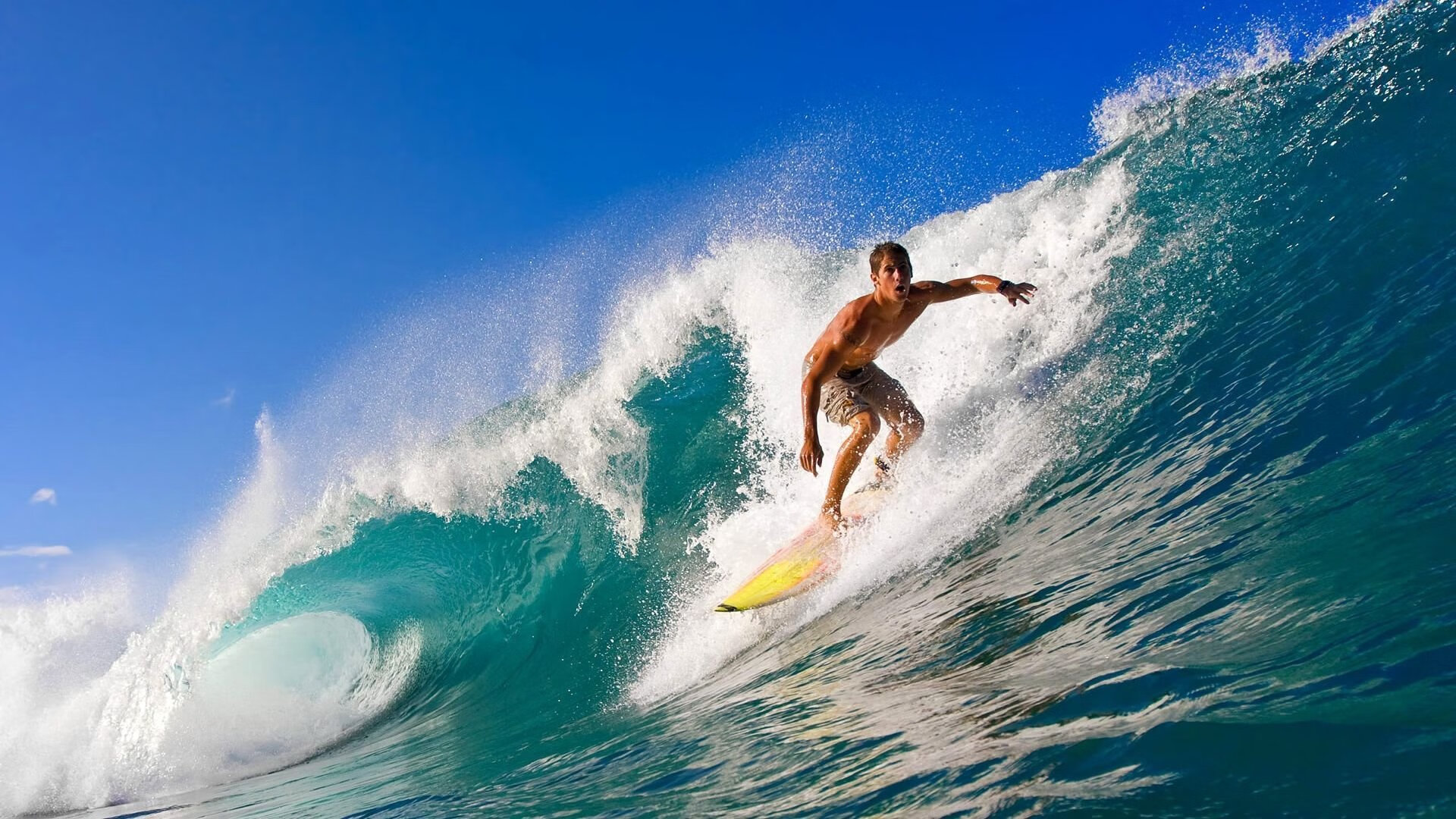 世界耐力赛再度上演雨战,团队协作决定胜负,耐力世界纪录